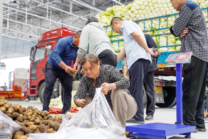 中國農(nóng)批宿遷市場盛大開業(yè)，新鮮食材與水果零售引領(lǐng)健康生活新風尚